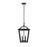 Elegant Lighting Frankford 2 Light 19" Outdoor Pendant, Black - OD334H19BK