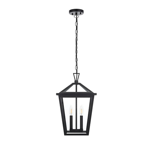 Elegant Lighting Frankford 2 Light 19" Outdoor Pendant, Black - OD334H19BK