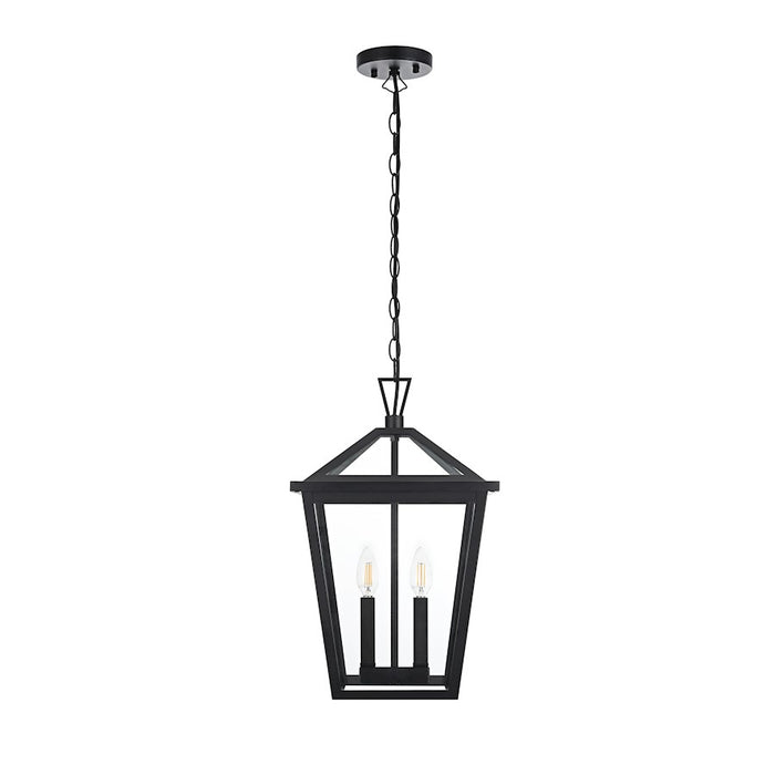 Elegant Lighting Frankford 2 Light 19" Outdoor Pendant, Black - OD334H19BK