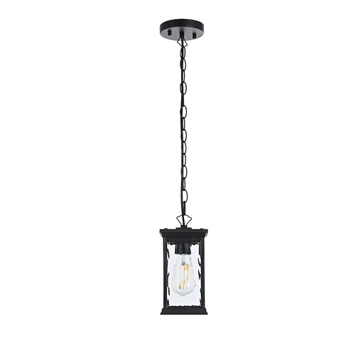 Elegant Lighting Mascher 1 Light Outdoor Pendant, Black - OD336H11BK