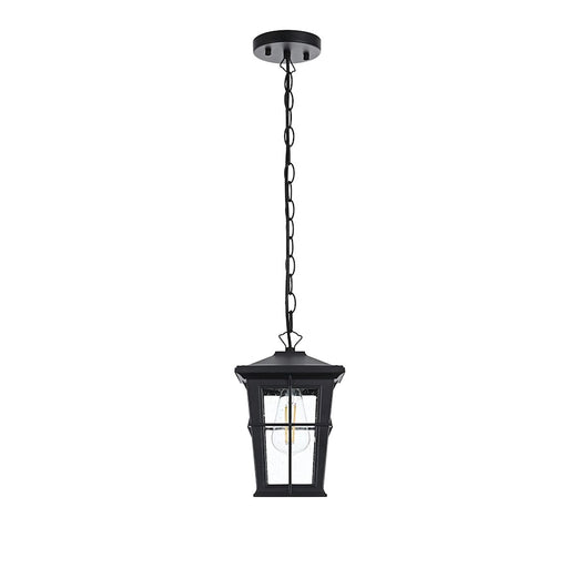Elegant Lighting Bodine 1 Light Outdoor Pendant, Black - OD337H11BK