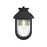 Elegant Lighting Albert 1 Light 7" Outdoor Pendant, Black - OD338W13BK