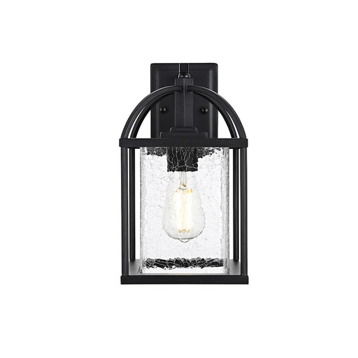 Elegant Lighting Gratz 1 Light Outdoor Sconce, Black/Clear - OD343W14BK