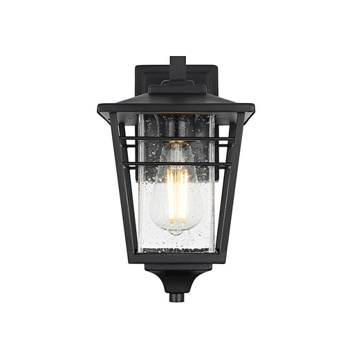 Elegant Lighting Croskey 1 Light Outdoor Pendant, Black/Clear - OD347W13BK