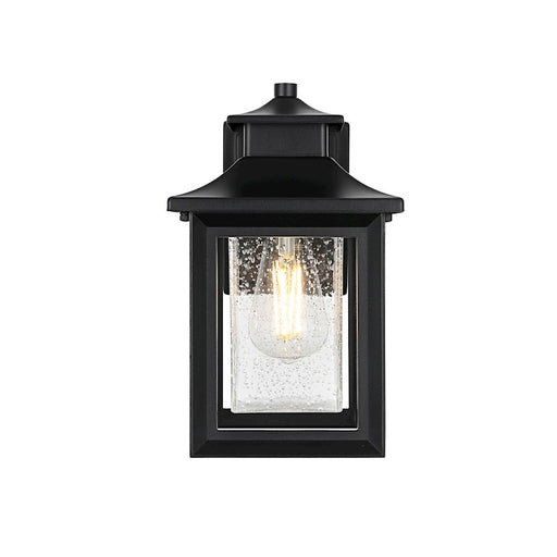 Elegant Lighting Judson 1 Light 12" Outdoor Sconce, Black/Clear - OD348W12BK