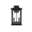 Elegant Lighting Ringgold 2 Light 8.5" Outdoor Wall sconce, Black - OD350W16BK
