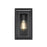 Elegant Lighting Etting 1 Light Outdoor Pendant, Black - OD355W12BK
