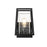 Elegant Lighting Lehigh 1 Light 10" Outdoor Sconce, Black/Clear - OD359W10BK