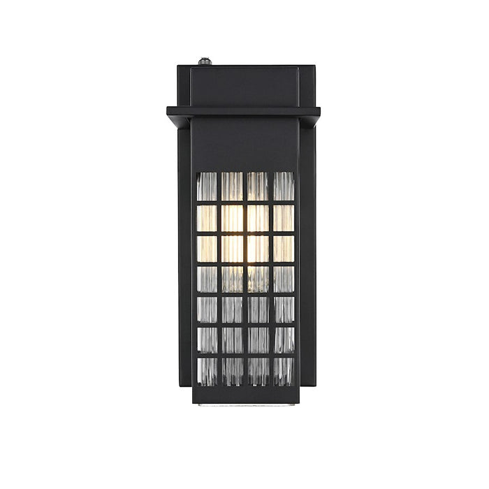 Elegant Lighting Palmer 1 Light 12" Outdoor Sconce, Black/Clear - OD360W12BK