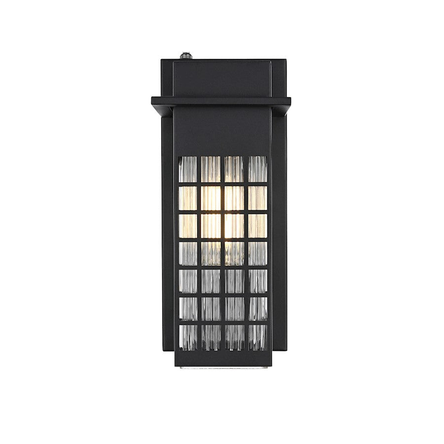 Elegant Lighting Palmer 1 Light 12" Outdoor Sconce, Black/Clear - OD360W12BK