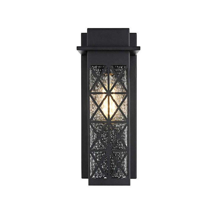 Elegant Lighting Wildey 1 Light 13" Outdoor Sconce, Black/Clear - OD361W13BK