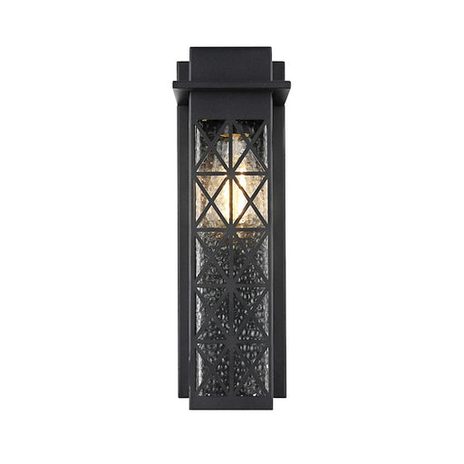 Elegant Lighting Wildey 1 Light 16" Outdoor Sconce, Black/Clear - OD361W16BK
