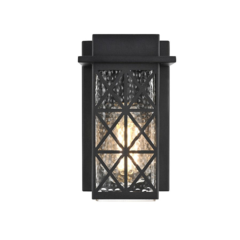 Elegant Lighting Wildey 1 Light Outdoor Sconce, Black/Clear - OD361W9BK