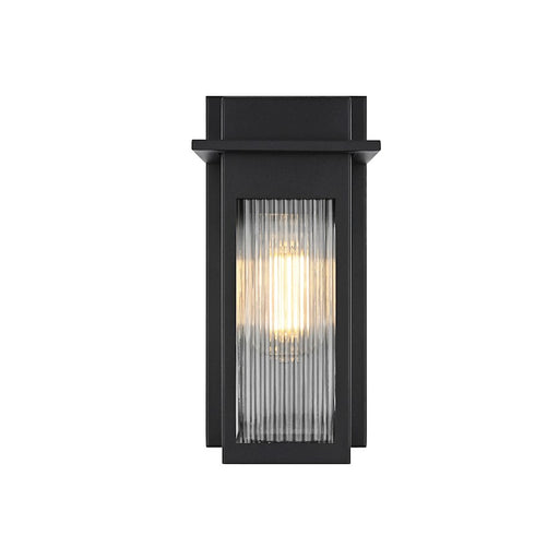 Elegant Lighting Fletcher 1 Light Outdoor Pendant, Black/Clear - OD364W11BK
