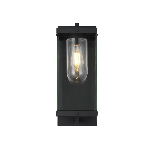 Elegant Lighting Keaton 1Lt 21" Outdoor Wall sconce, Black/Clear - OD409W21BK