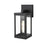 Elegant Lighting Peter 1 Light 11" Outdoor Wall Sconce, Black