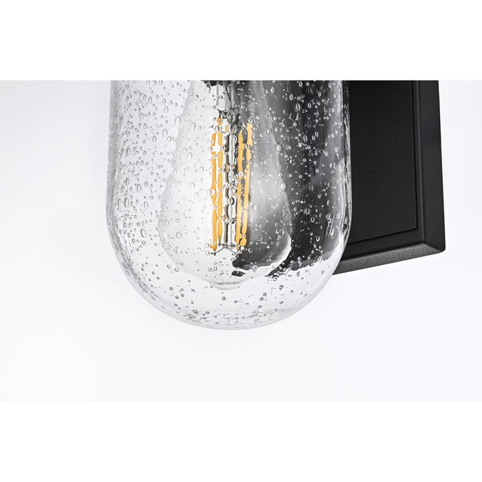 Elegant Lighting Rafael 1Lt 5" Outdoor Sconce, Black/Clear/Seed