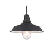 Elegant Lighting Rayan 1Lt 21" Outdoor Sconce, Black/Clear/Seed - OD415W21BK