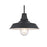 Elegant Lighting Rayan 1Lt 21" Outdoor Sconce, Black/Clear/Seed - OD415W21BK