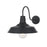 Elegant Lighting Rayan 1Lt 21" Outdoor Sconce, Black/Clear/Seed