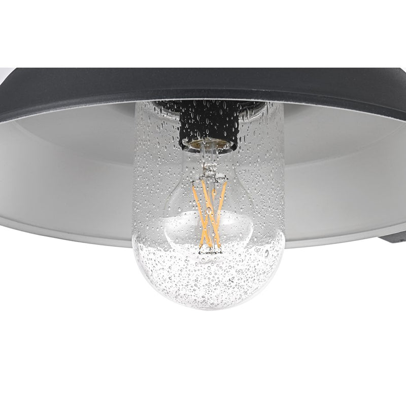 Elegant Lighting Rayan 1Lt 23" Outdoor Sconce, Black/Clear/Seed