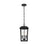 Elegant Lighting Riggs 3 Light 8 X 15" Outdoor Pendant, Black/Clear - OD502H15BK