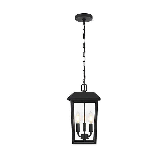 Elegant Lighting Riggs 3 Light 8 X 15" Outdoor Pendant, Black/Clear - OD502H15BK
