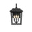 Elegant Lighting Riggs 3 Light 10" Outdoor Wall Sconce, Black/Clear - OD502W17BK