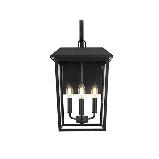Elegant Lighting Riggs 3 Light 11" Outdoor Wall Sconce, Black/Clear - OD502W22BK