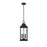 Elegant Lighting Shepard 3Lt 8 X 20.5" Outdoor Pendant, Black/Clear - OD503H21BK