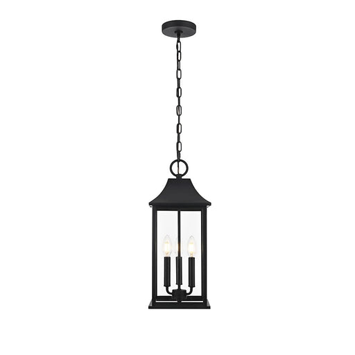 Elegant Lighting Shepard 3Lt 8 X 20.5" Outdoor Pendant, Black/Clear - OD503H21BK
