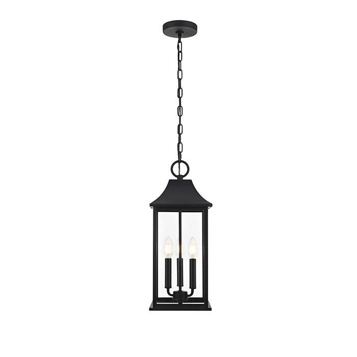 Elegant Lighting Shepard 3Lt 8 X 20.5" Outdoor Pendant, Black/Clear - OD503H21BK