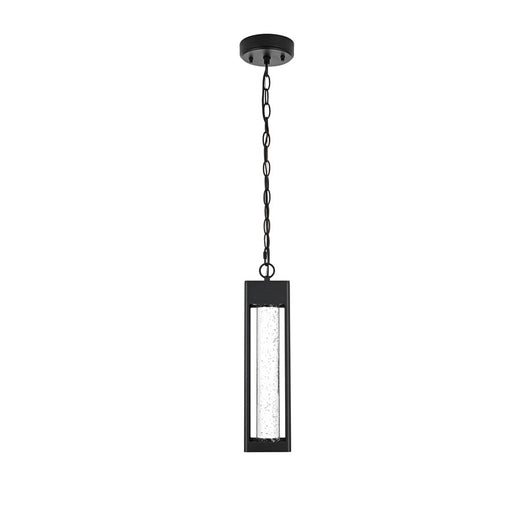 Elegant Lighting Amaris 1Lt 15" Outdoor Pendant, Black/Clear/Seedy - OD604H15BK