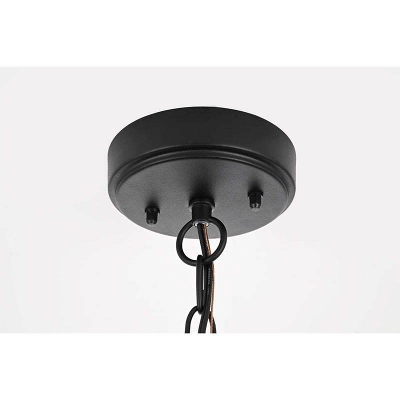 Elegant Lighting Amaris 1Lt 15" Outdoor Pendant, Black/Clear/Seedy