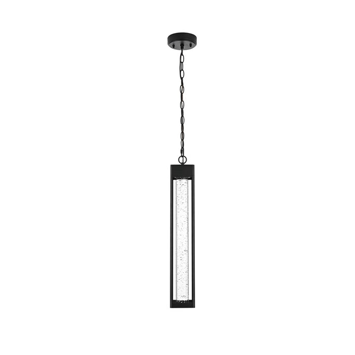 Elegant Lighting Amaris 1Lt 23" Outdoor Pendant, Black/Clear/Seedy - OD604H23BK