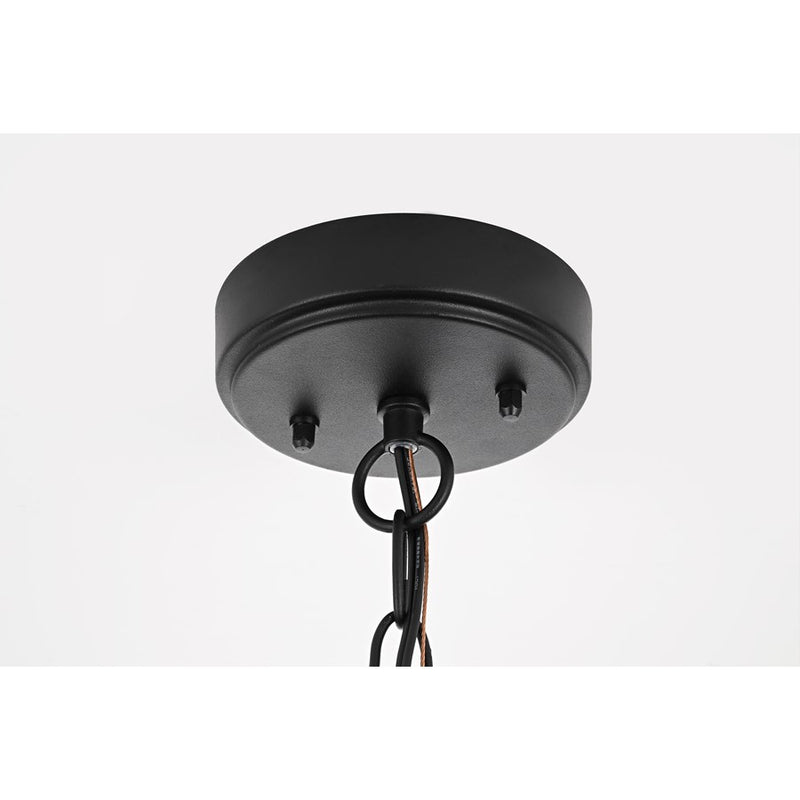 Elegant Lighting Amaris 1Lt 23" Outdoor Pendant, Black/Clear/Seedy