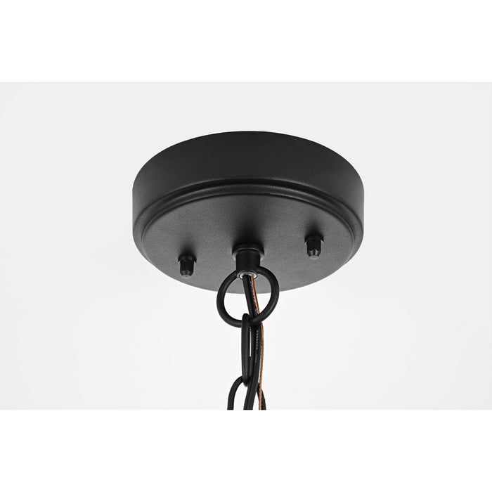 Elegant Lighting Amaris 1Lt 23" Outdoor Pendant, Black/Clear/Seedy