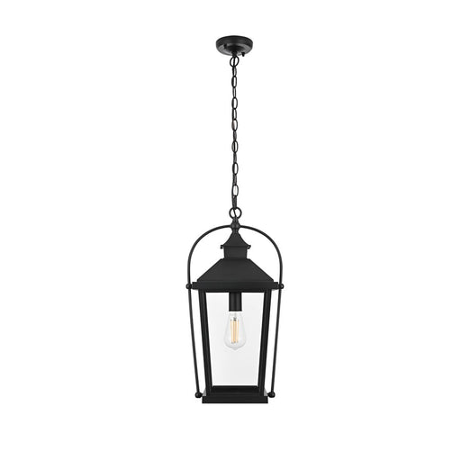 Elegant Lighting Luz 1Lt 11" Outdoor Pendant, Black/Clear/Clear - OD605H20BK