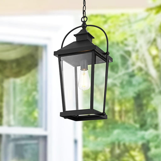 Elegant Lighting Luz 1Lt 11" Outdoor Pendant, Black/Clear/Clear