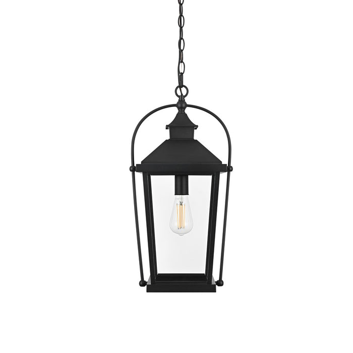 Elegant Lighting Luz 1Lt 11" Outdoor Pendant, Black/Clear/Clear