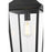 Elegant Lighting Luz 1Lt 11" Outdoor Pendant, Black/Clear/Clear