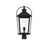 Elegant Lighting Luz 1Lt 11" Outdoor Post Light, Black/Clear/Clear - OD605P23BK