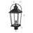 Elegant Lighting Luz 1Lt 11" Outdoor Post Light, Black/Clear/Clear
