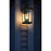 Elegant Lighting Luz 3Lt 24" Outdoor Wall Sconce, Black/Clear/Clear