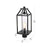 Elegant Lighting Zora 1Lt 8" Outdoor Post Light, Black/Clear/Seedy