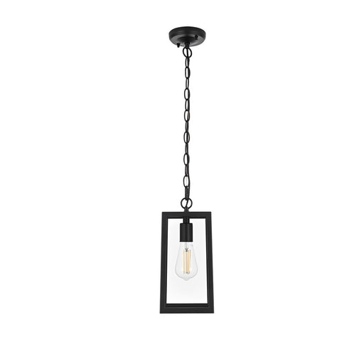 Elegant Lighting Veda 1 Light 6" Outdoor Pendant, Black/Clear/Clear - OD608H13BK