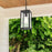 Elegant Lighting Veda 1 Light 6" Outdoor Pendant, Black/Clear/Clear