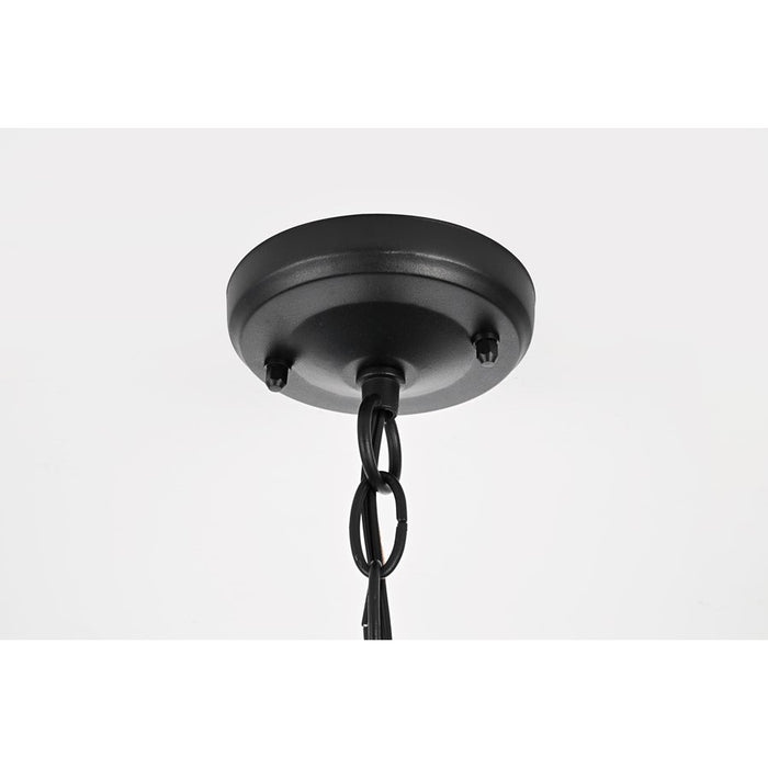 Elegant Lighting Veda 1 Light 6" Outdoor Pendant, Black/Clear/Clear