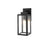Elegant Lighting Veda 1Lt 13" Outdoor Sconce, Black/Clear/Clear
