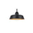 Elegant Lighting Tinsley 1Lt 20" Outdoor Wall Sconce, Black/Clear - OD610W18BK